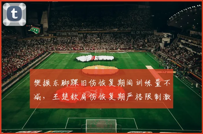 樊振东脚踝旧伤恢复期间训练量不减,王楚钦肩伤恢复期严格限制激增风险